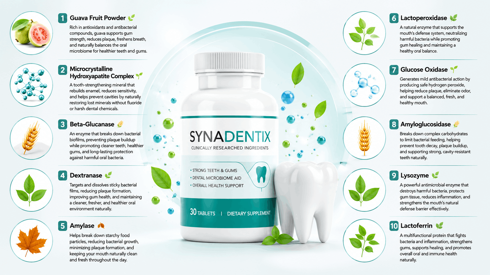 Synadentix ingredients